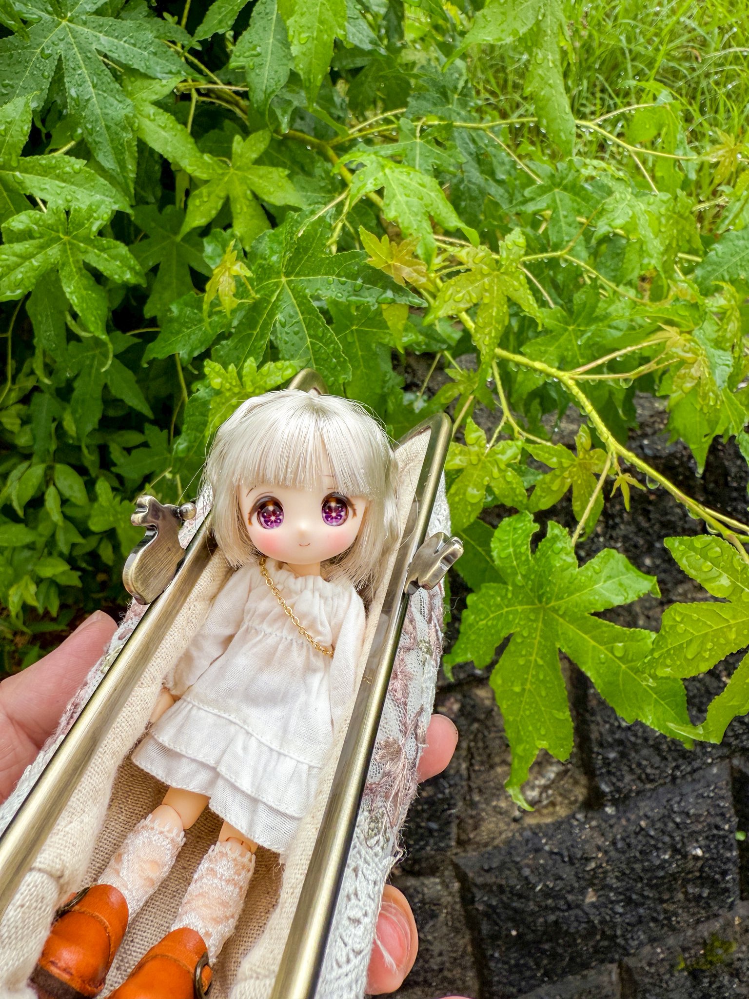 ‪‪❤︎‬ aya様 ‪‪❤︎‬ あや🍑 (@aya56_7sub) / X