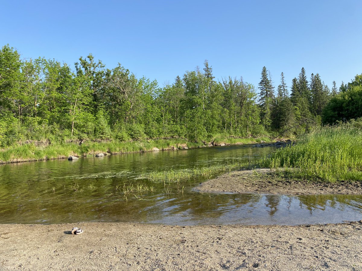 Ambreyes's tweet photo. Our new HAPPY place #greatwoodsparkbeausejour https://t.co/qmJb5vWYaq