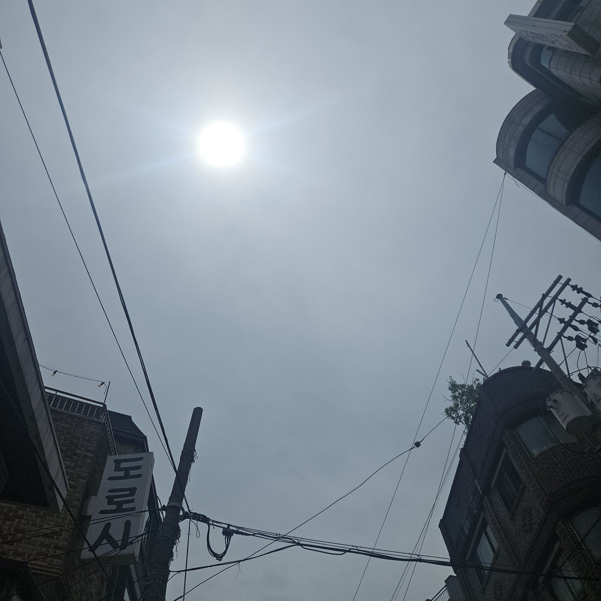 Good_DayJY's tweet photo. 2025. 06. 24. 1201 https://t.co/9yvIhQAsM1