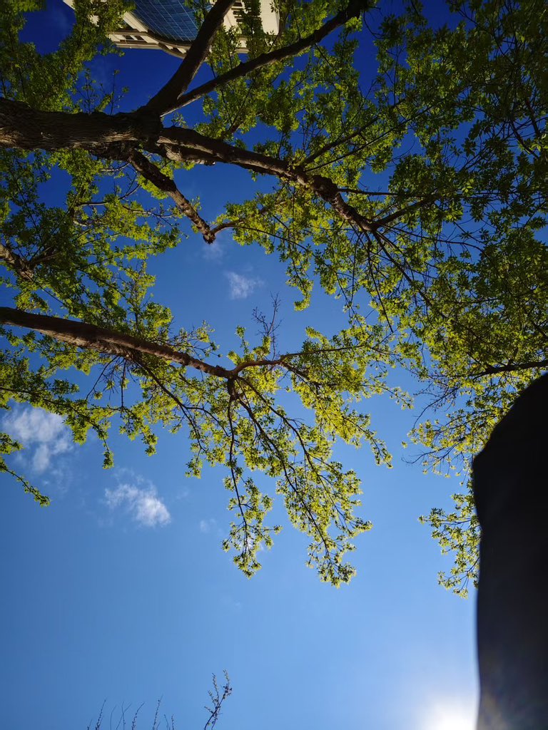 黄推福利内容 - 卡夫卡的熊的精彩图片 福利姬卡夫卡的熊分享的黄推图片2 - 网红私拍内容