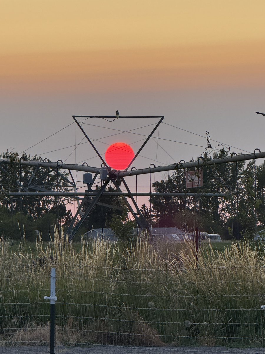 skywatcher2236's tweet image. 93 million miles away 🤣