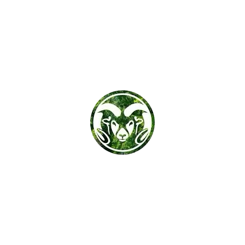 AWebbCSU's tweet photo. @BarstoolCSU 3 https://t.co/37UNW3GKiD