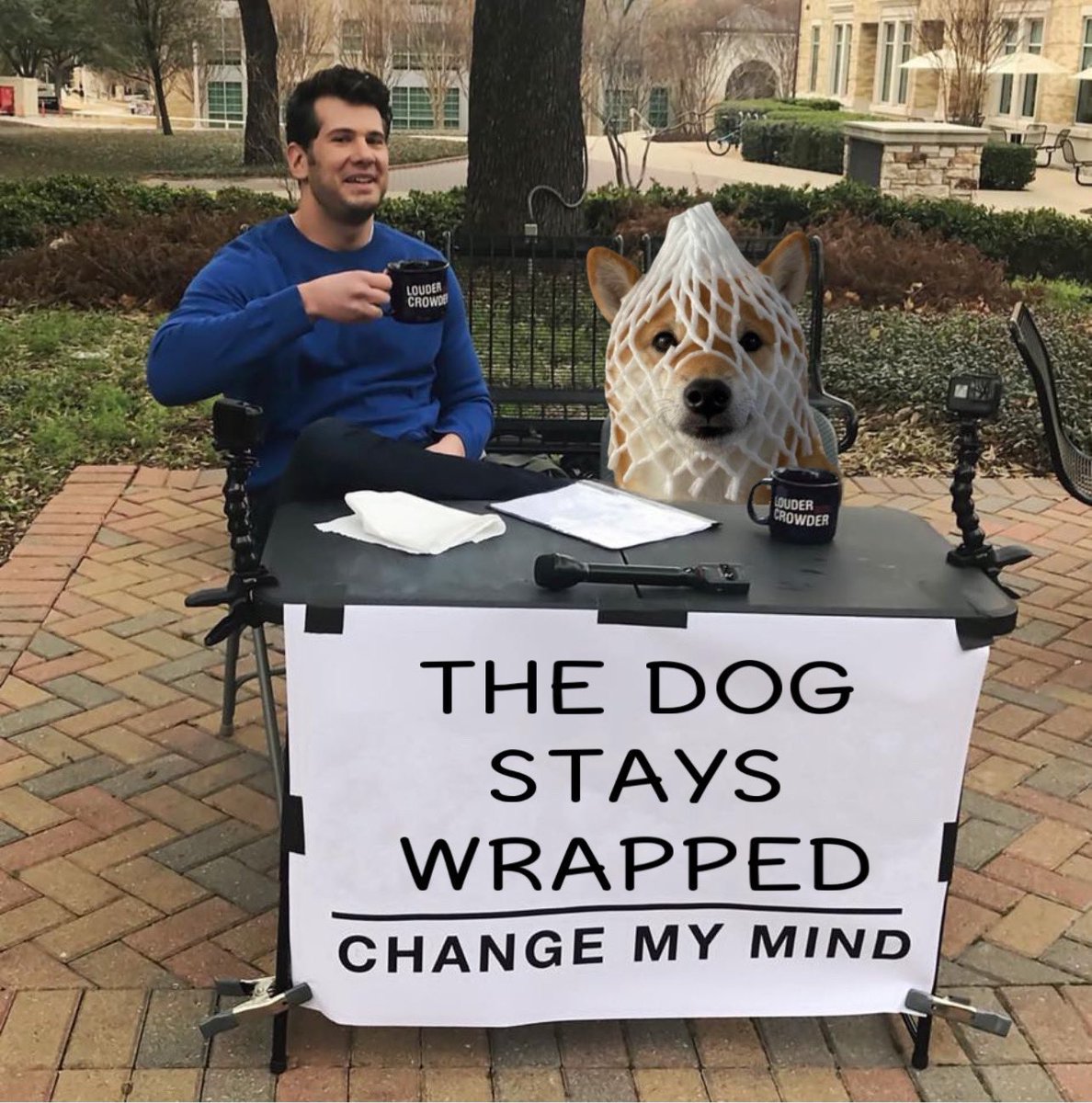 THE DOG STAYS WRAPPED $wDOG