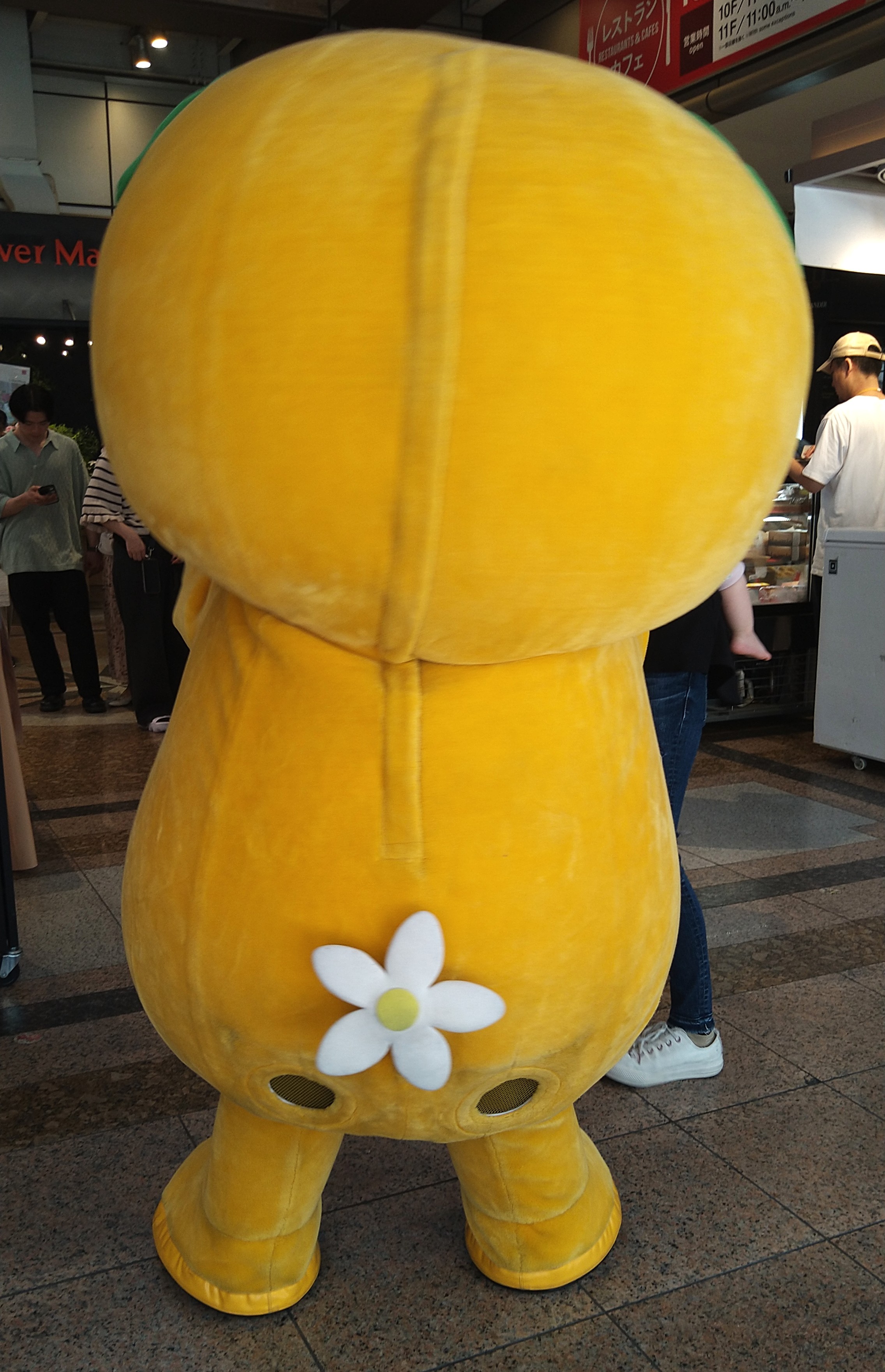 みきゃん - Search / X