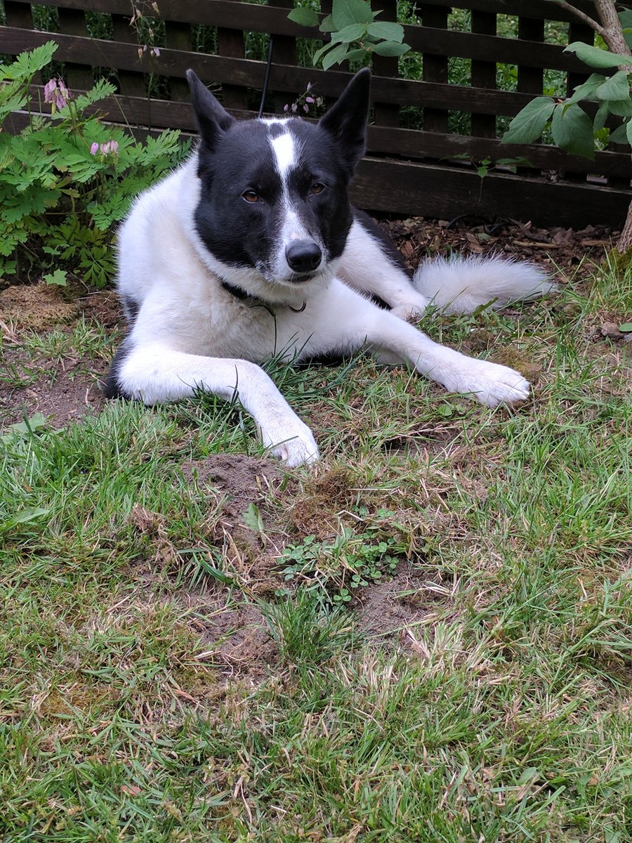 Sabine when she was really young