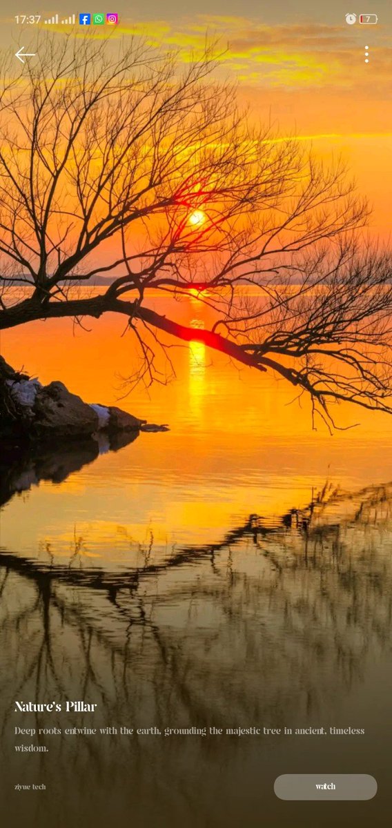 Everyday is a brand New day 🌞☀️