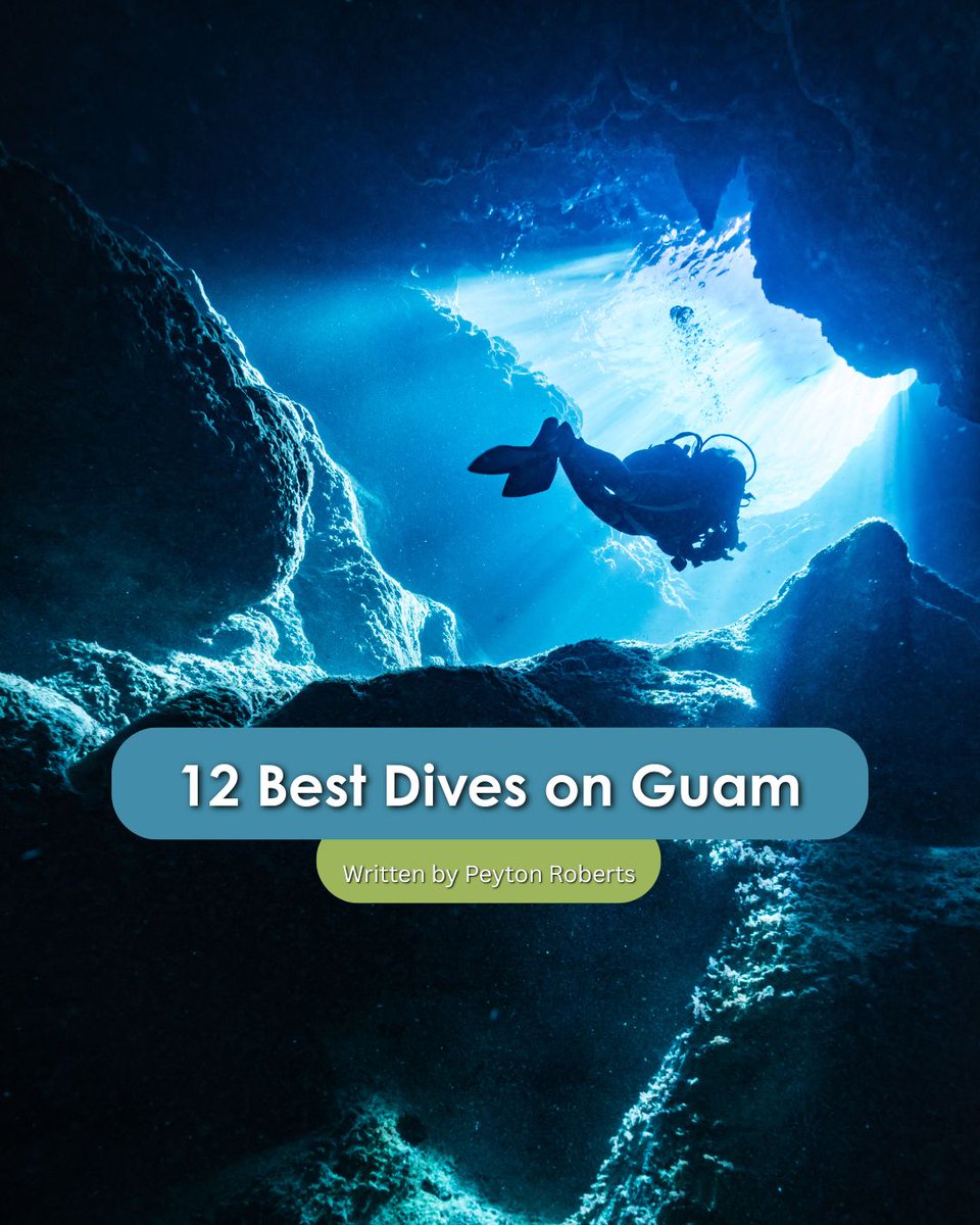 TheGuamGuide's tweet photo. Where else in the world can you touch two shipwrecks from two different world wars—on the same dive? 🌊🇬🇺 Guam’s Tokai Maru &amp; SMS Cormoran wrecks offer just that.

https://t.co/YZpPT0mmx0 

By Peyton Roberts

#GuamDiving #ShipwreckDive #OnlyOnGuam #DiveGuam #GuamGuide https://t.co/LwG6z9zWu1
