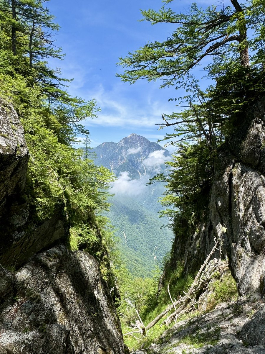bPyT08fuAgPIBGd's tweet photo. 6.21
離山〜地蔵岳 https://t.co/l3jTV5Qk2D