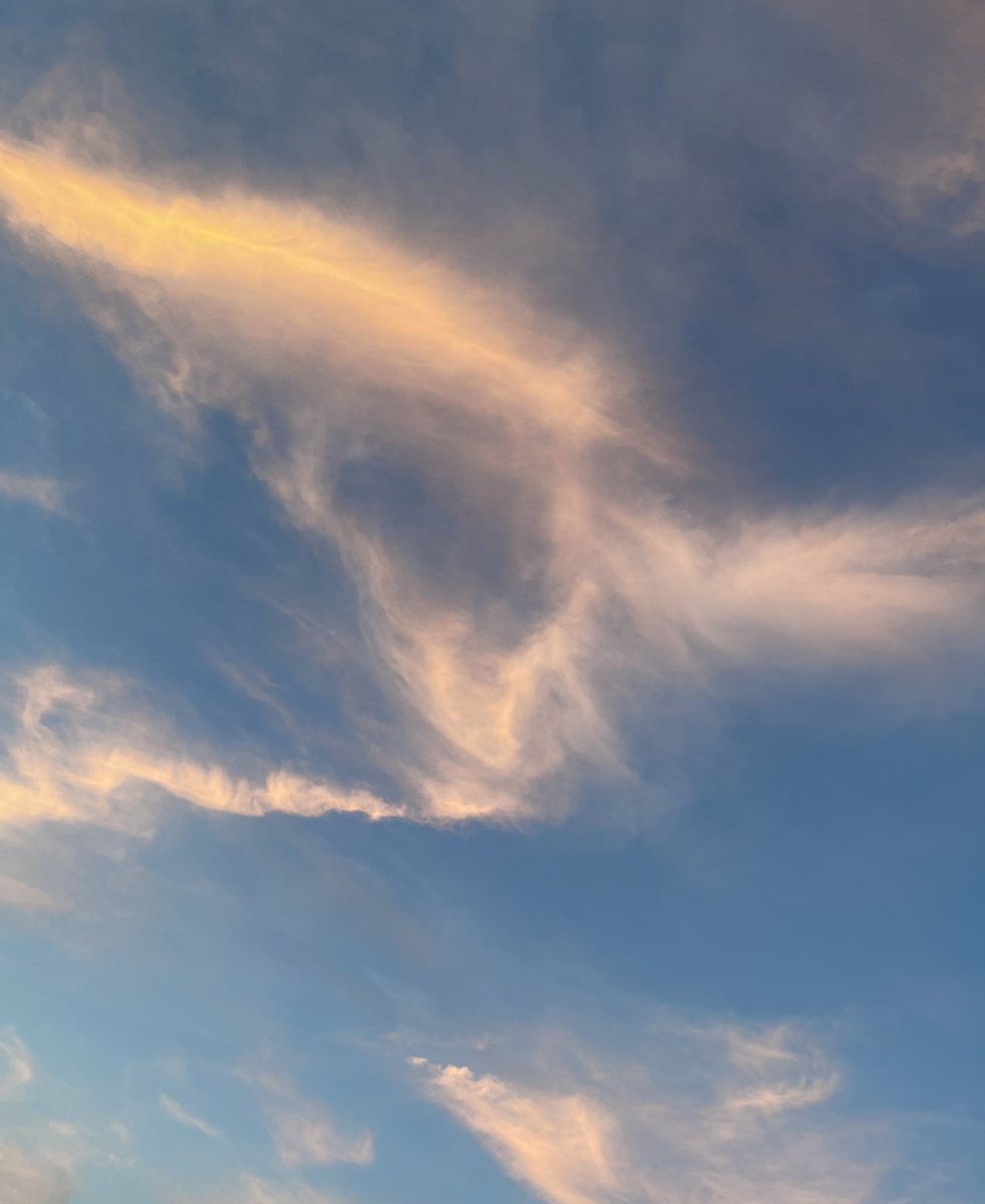 nic0243's tweet photo. 屏幕里的天空 没我想象的那么蓝 https://t.co/yRtPF5INxj