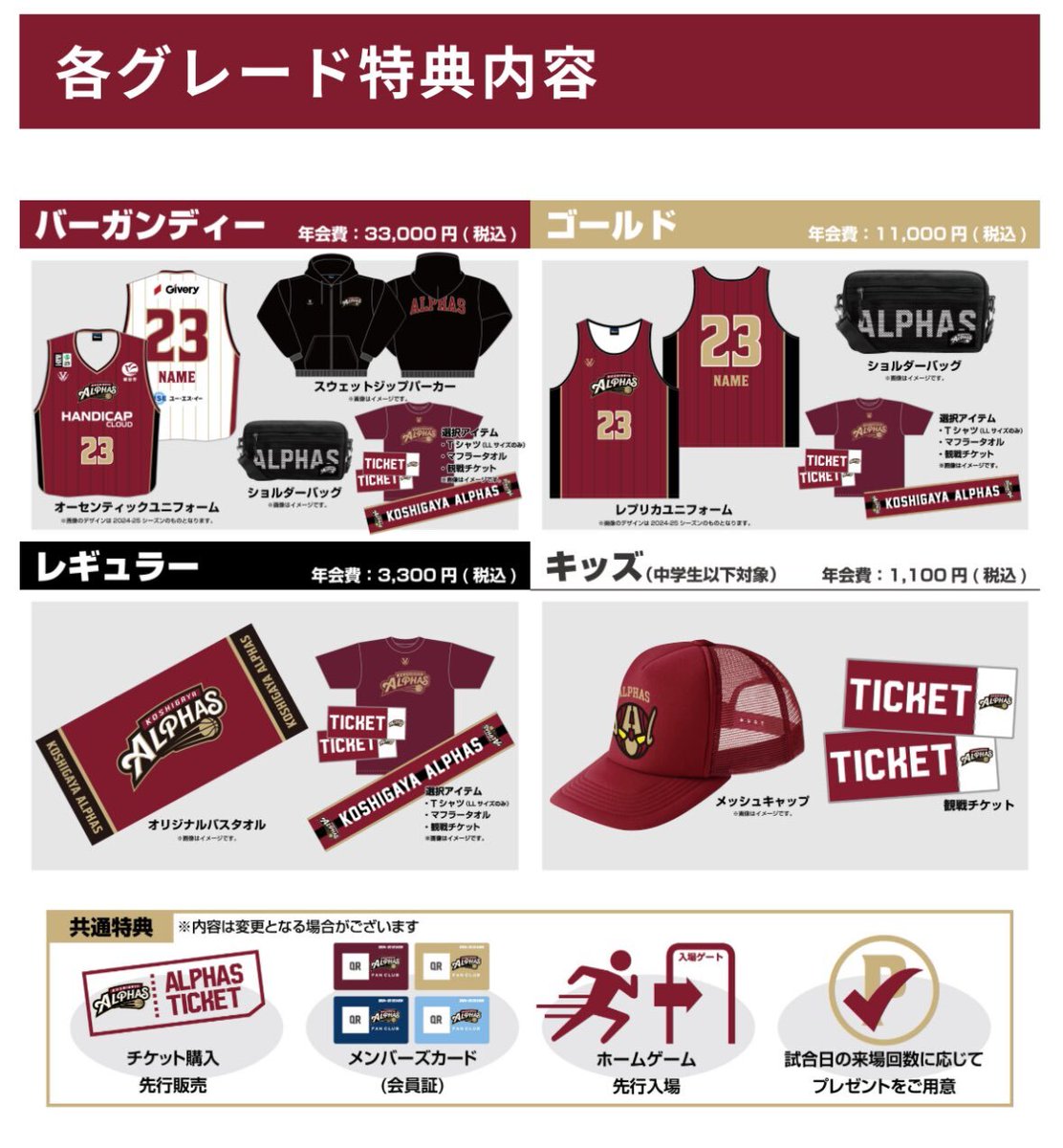 越谷アルファーズ 2025-26シーズンファンクラブ特典 バーガンディー 2025-26シーズン 越谷アルファーズ ファンクラブ | 越谷アルファーズ