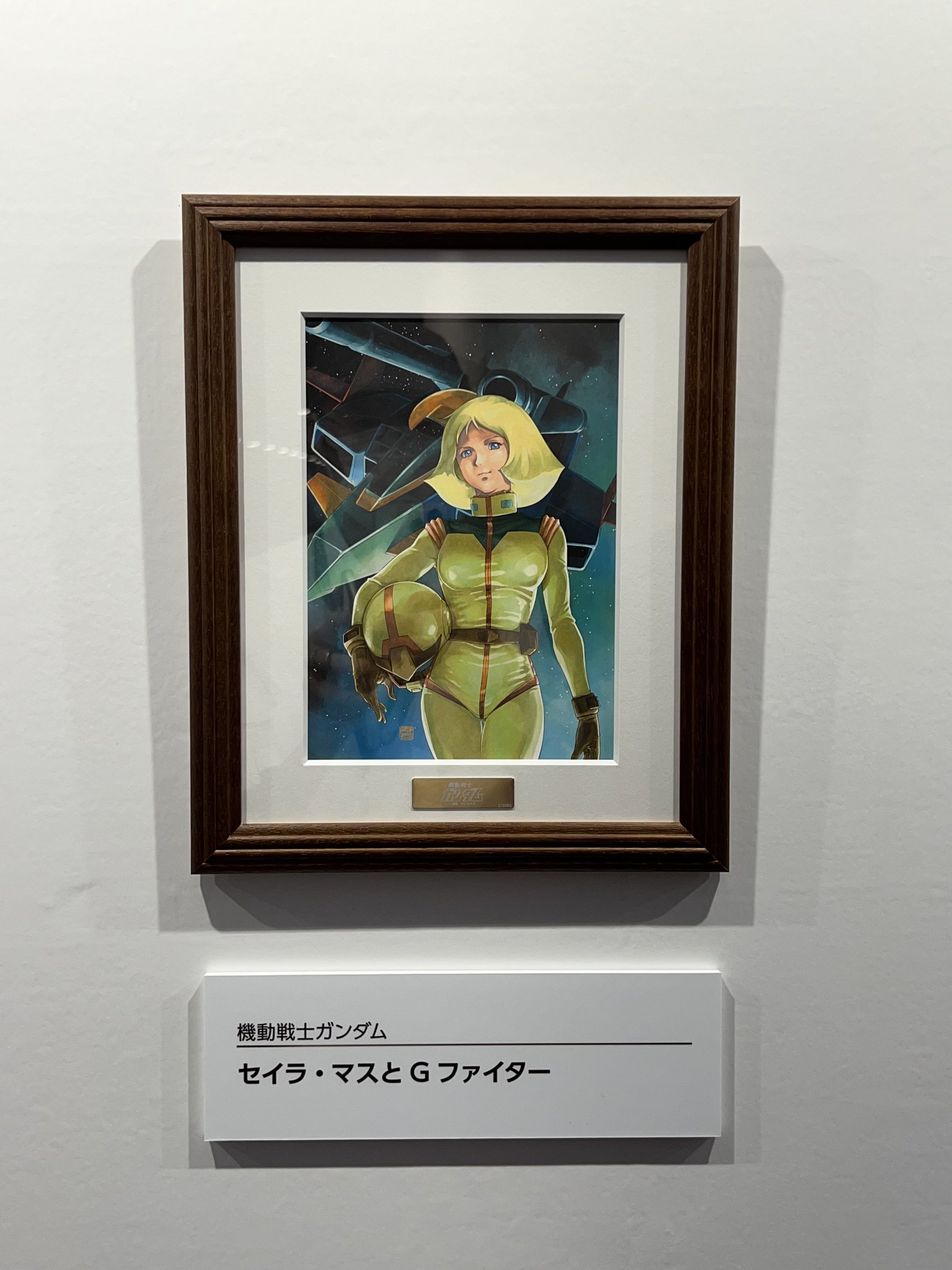 バンダイナムコ 株主優待／アートコレクション 機動戦士ガンダム