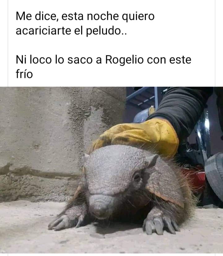 DJ CUCHILLO 🔪 (@cenizen) on Twitter photo 