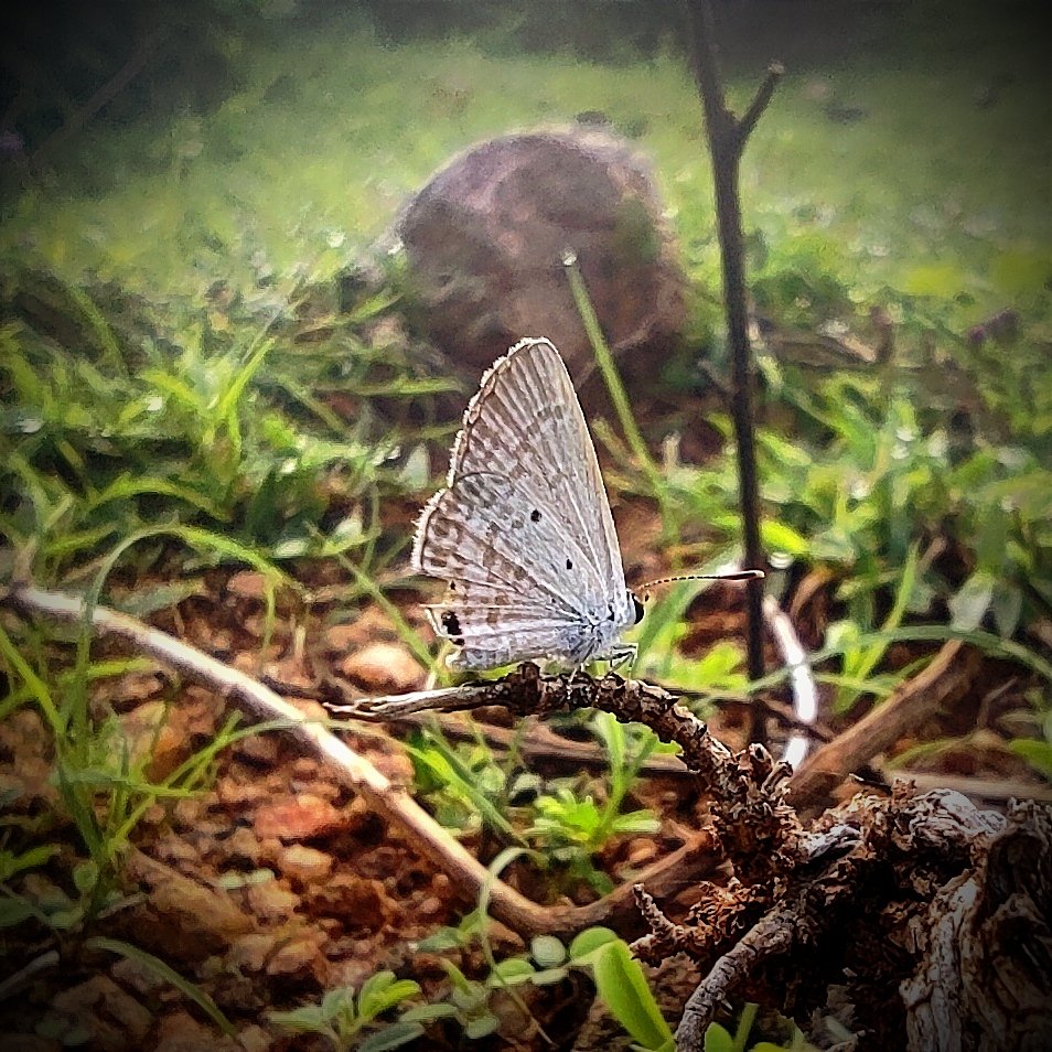 dsparmar_10's tweet photo. Today clicks 💙

#photography https://t.co/0hWGMCO4d3
