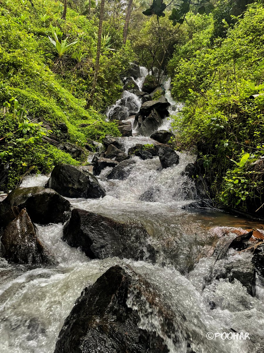 PAmonker's tweet photo. Monsoons have arrived, and the waterfalls are calling🌧🌿💧

#exploring_goa #goa #waterfall #chasingwatwrfalls #goabeyondbeaches #hiddengem #waterfallsofgoa https://t.co/SVykAoGHPC