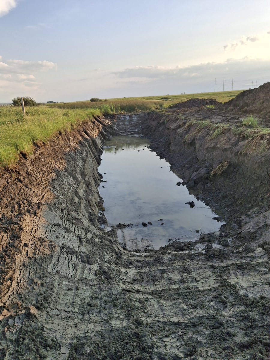 Question for cattle folks. We got a few dugouts made. The sides of these seem too steep to me, but the ends are acceptable for cattle to go in/out. Do steep sides like this lead to drowned cattle or would they find their way to the end? Picture it either full or 3/4 full