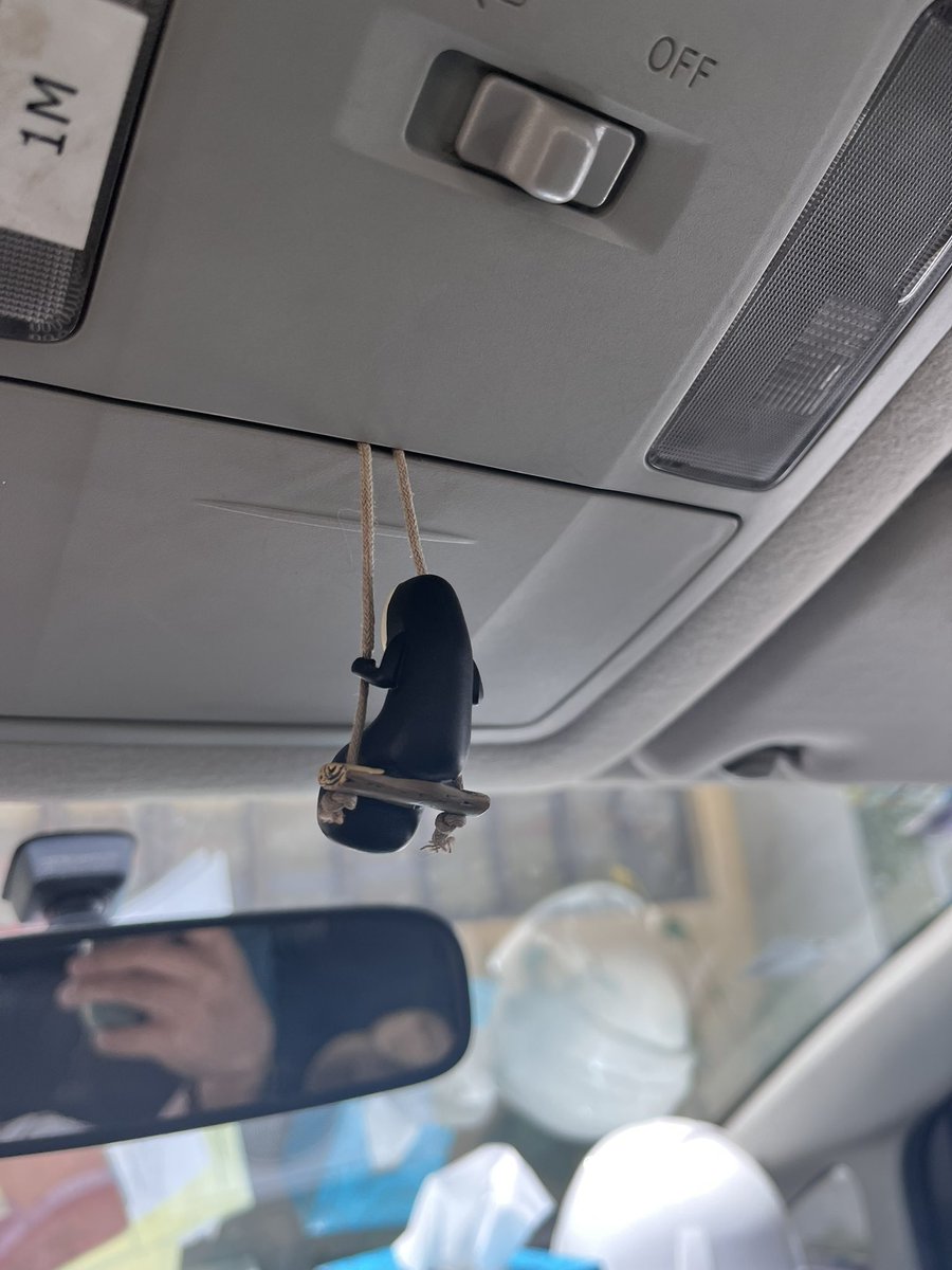 No face goes to where?