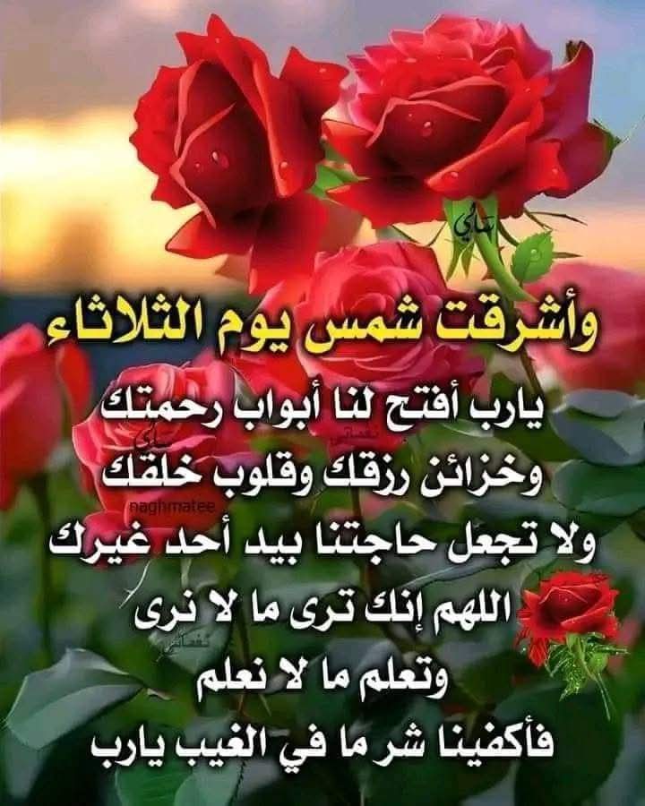 يوم جميل ☕🌹🤲