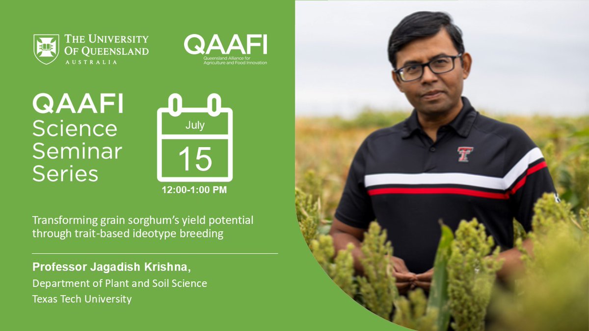 QLD Alliance for Agriculture & Food Innovation (@qaafi) on Twitter photo Join us for a QAAFI Science Seminar on 15 July with Professor Jagadish Krishna as he presents:
🌾 Transforming Grain Sorghum’s Yield Potential Through Trait-Based Ideotype Breeding
🕐12:00pm AEST | 📍bit.ly/4nuFS8i
👉 All welcome – bring your questions! Join us for a QAAFI Science Seminar on 15 July with Professor Jagadish Krishna as he presents:
🌾 Transforming Grain Sorghum’s Yield Potential Through Trait-Based Ideotype Breeding
🕐12:00pm AEST | 📍bit.ly/4nuFS8i
👉 All welcome – bring your questions!