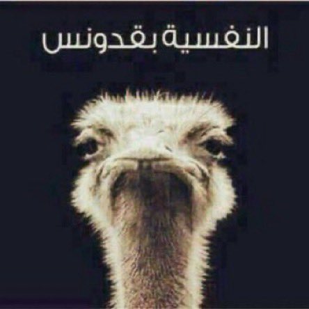 ✍🏼🤗#هنا_كوكب_الأهلى👍🥰 ألف شكر يارجالة مباراة كبيرة #قَدَّرَ_الله وماشاء فعل #براڤوا عليكم 🌹💞ولسه عنادك وإصرارك بوقوفك على خط الجون وعدم خروجك لقطع العرضيات وجه منها جون وبطئ خروجك واترقصت وجون ومن بعيد جونين #أناالتتش_والعظماء_مليون_أهلاوى_علىXتويتروالتالتة_شمال عايشين عليه