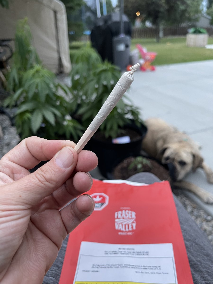 StonerDad's tweet photo. Fine, you’ve convinced me, I’ll have one more https://t.co/UU5tnjS2kb