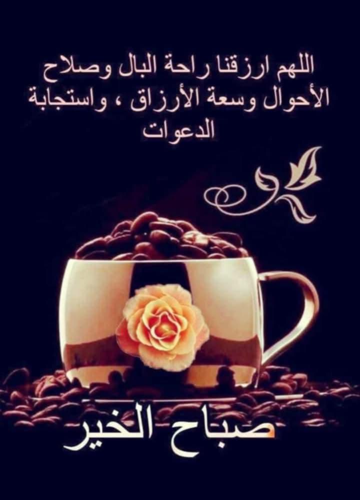 #صباحك_ومطرحك_ويونس