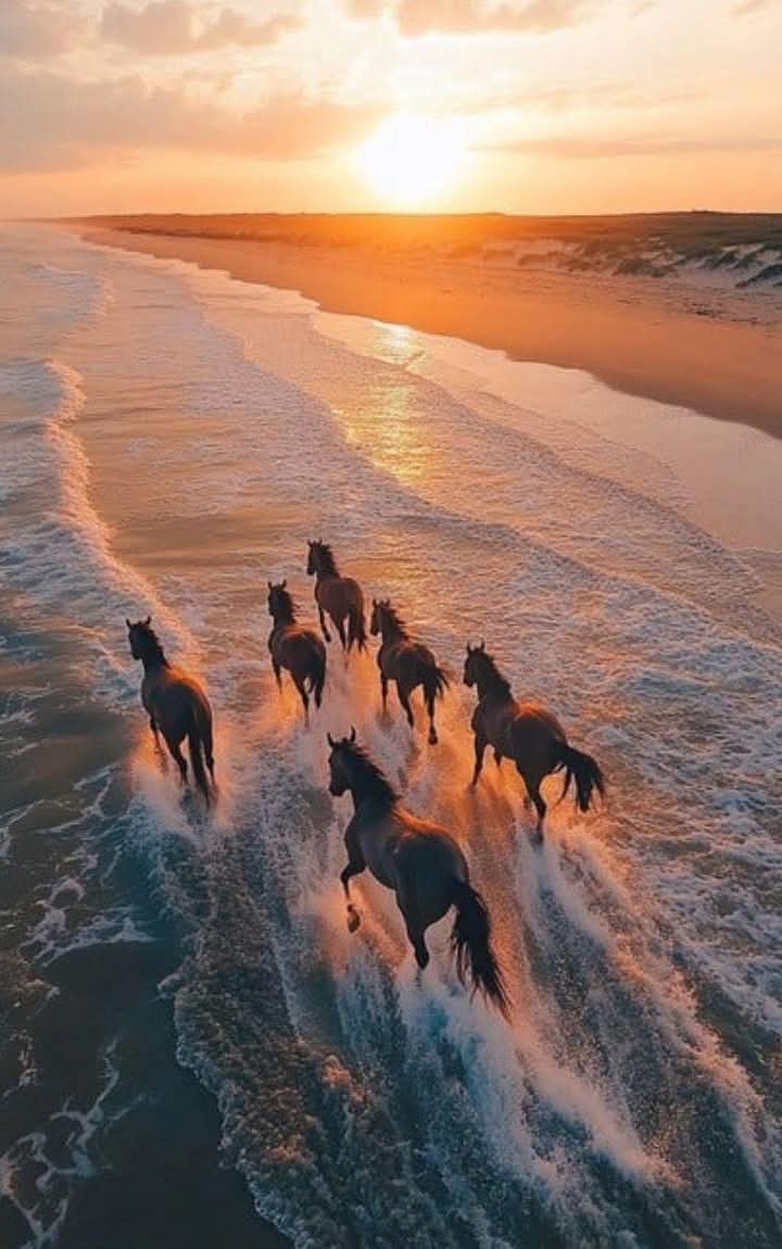 كلما عدنا إلى باب التوقع' فوجئنا أننا بلا مفتاح...
#صباح_الخير