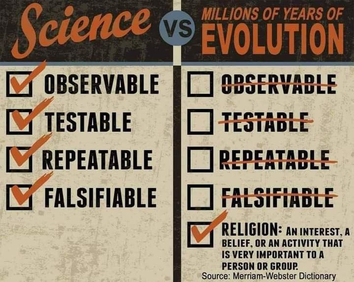 ✠ ᵀʰᵉ ⁼⁼ ᴺᵃʳʳᵒʷ ⁼⁼ ᵂᵃʸ ✠ tweet media