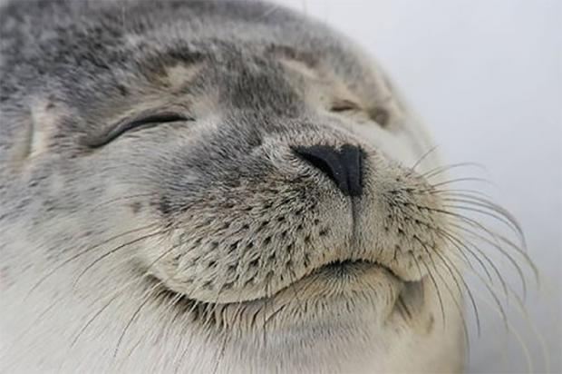 AETackaberry's tweet image. when you make a 1-line change to update a model and your @braintrustdata evals improve accuracy and reduce latency by 50%