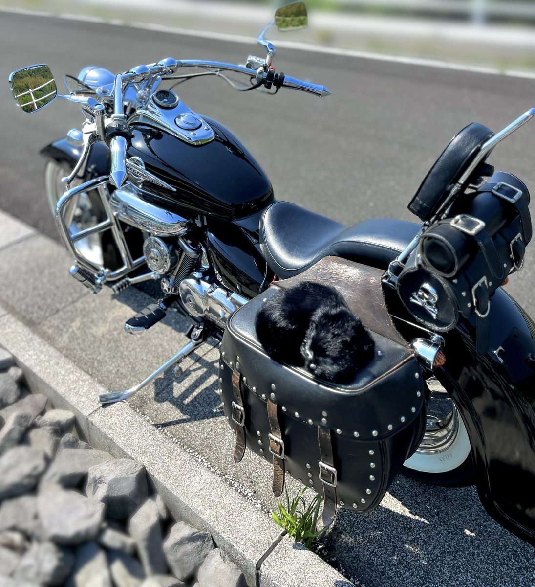 写真だけなら迫力あるんだよな！近所を回るばっかやから誰とも出くわさないけどいつかナンシーおじさんに排気量聞かれるのが小さな夢🤭マグナ50クラシック