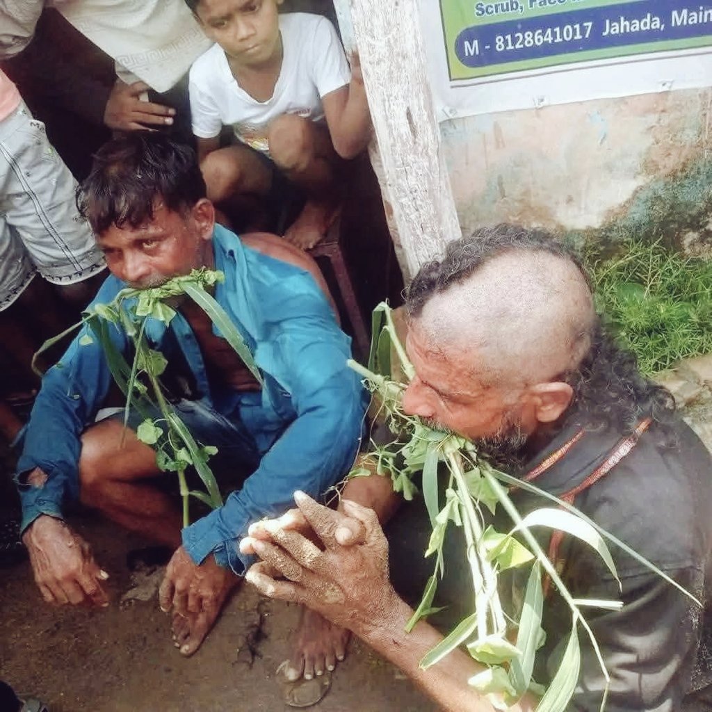 taj_india007's tweet image. SAFFRON TALIBAN 

In BJP-ruled #Odisha, Dalit men were allegedly forced to eat grass, walk on their knees and have half their heads shaved by RSS backed #BajrangDal members. Cow smuggling suspected

#DalitLivesMatter
#CeasefireNow #ceasefire
#GIFTNIFTY #IsraeliranWar