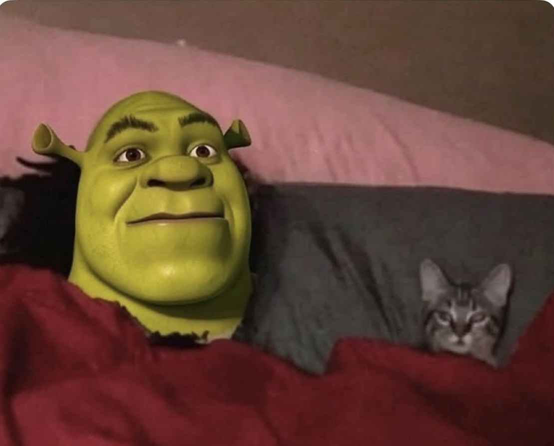 Me forcing my pet to sleep with me