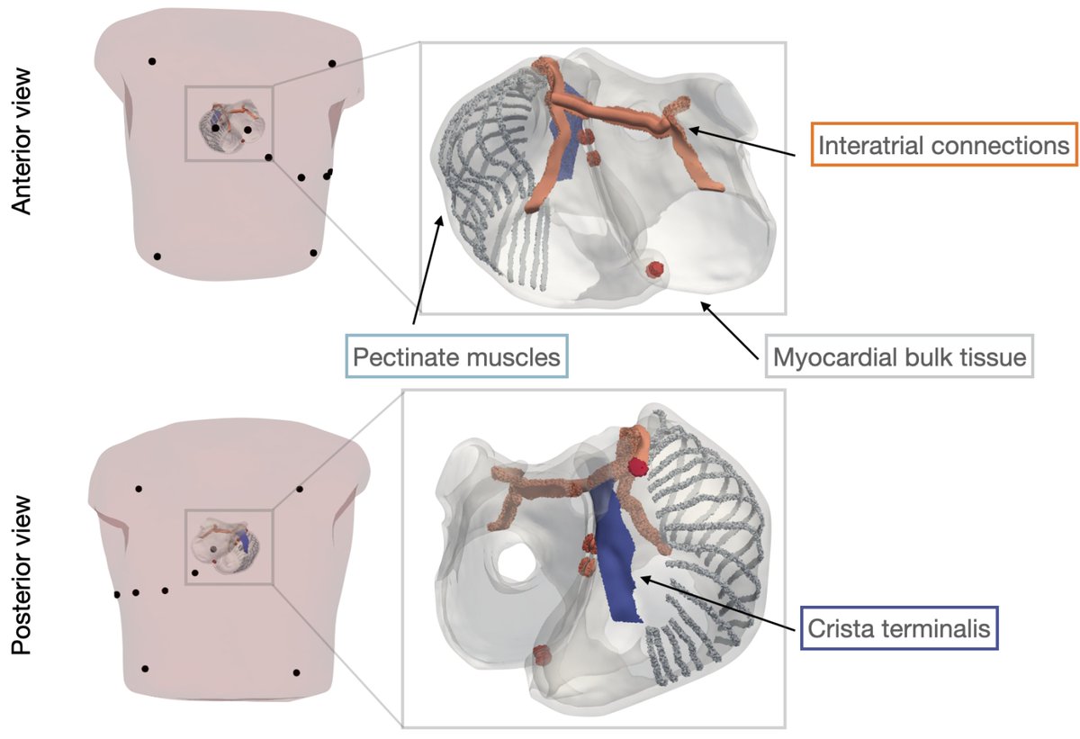 Metrology MDPI (@metrology_mdpi) on Twitter photo ๐ | Call for Reading
๐ Title: Global Sensitivity #Analysis and #Uncertainty Quantification for Simulated Atrial #Electrocardiograms
๐ Link: mdpi.com/2673-8244/3/1/1
๐ฏ Article Views: 3207, Citations 7
#ECG #metrological #MonteCarlo #OpenAccess
<a href="/ptb_q5/">PTB's International Cooperation</a>
<a href="/Metrology_MDPI/">Metrology MDPI</a> ๐ | Call for Reading
๐ Title: Global Sensitivity #Analysis and #Uncertainty Quantification for Simulated Atrial #Electrocardiograms
๐ Link: mdpi.com/2673-8244/3/1/1
๐ฏ Article Views: 3207, Citations 7
#ECG #metrological #MonteCarlo #OpenAccess
<a href="/ptb_q5/">PTB's International Cooperation</a>
<a href="/Metrology_MDPI/">Metrology MDPI</a>