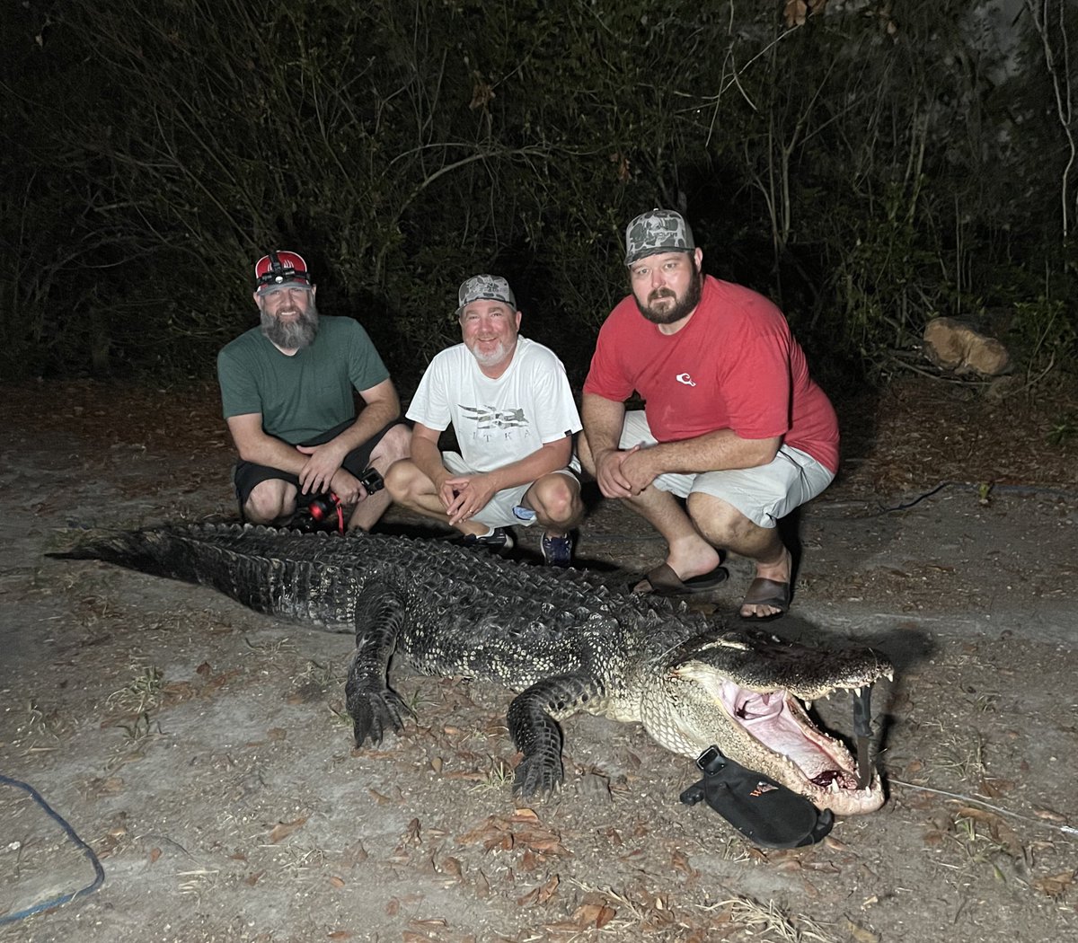 Mississippi Gator Hunt youtu.be/-HzaHC2h4Ls?si…. #gatorhunting #Mississippi #realsouthway