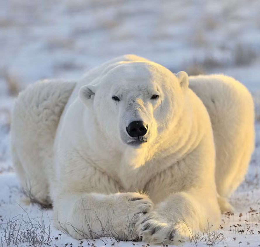 lazyrobotmusic's tweet image. These are the same thing, convince me otherwise.