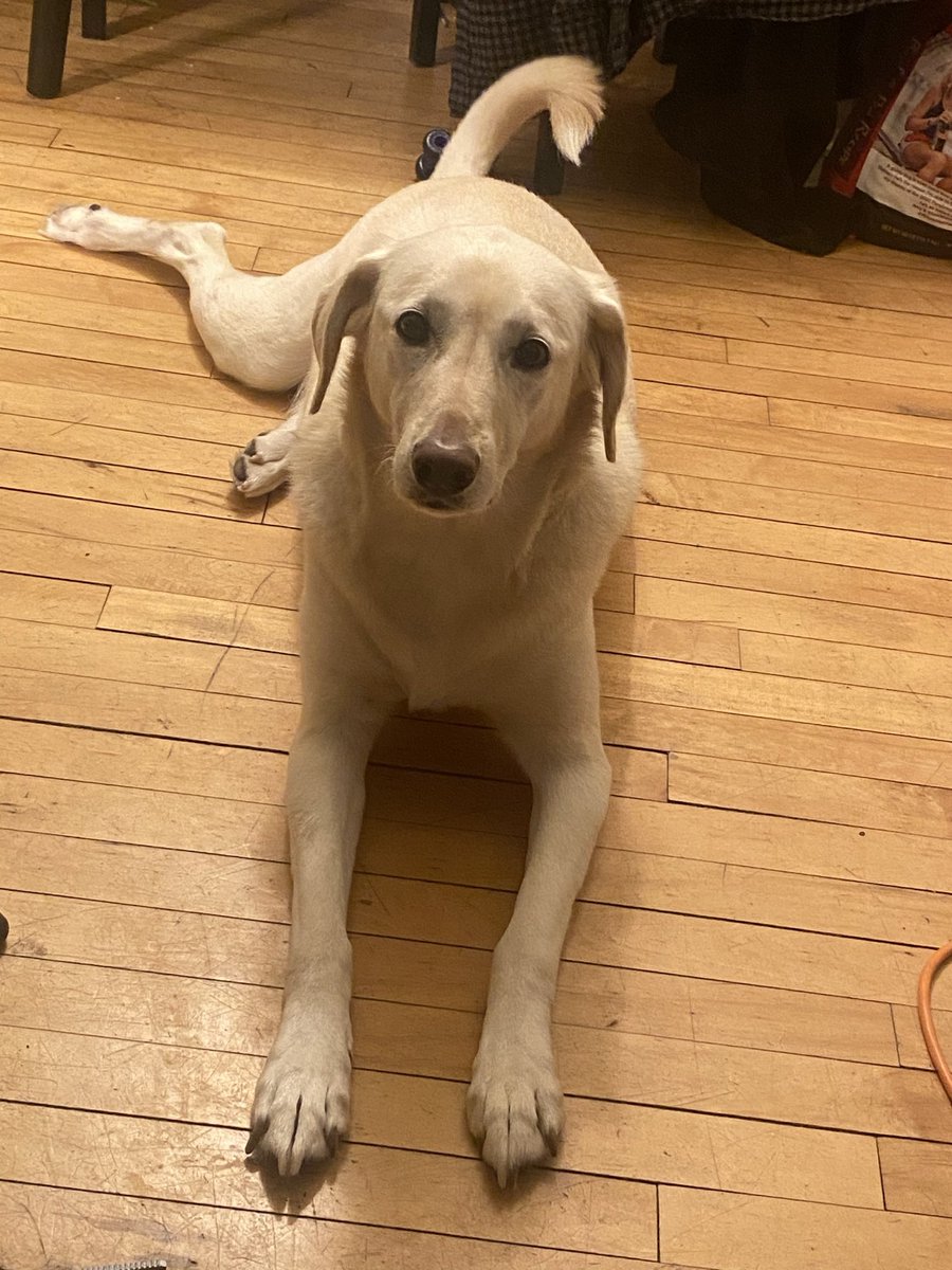 lazyrobotmusic's tweet image. These are the same thing, convince me otherwise.