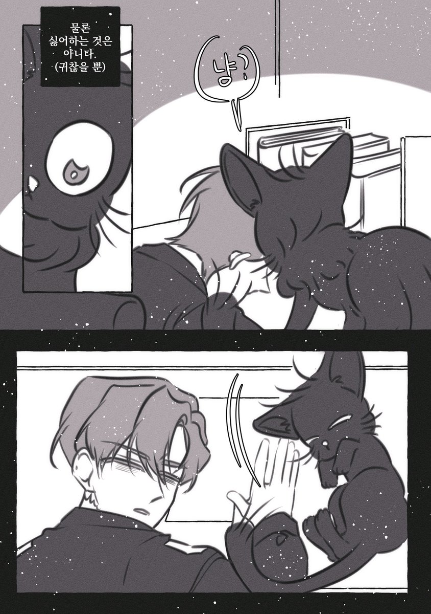 솔음냥 이야기 3 🐈‍⬛
#최솔 #요원솔음