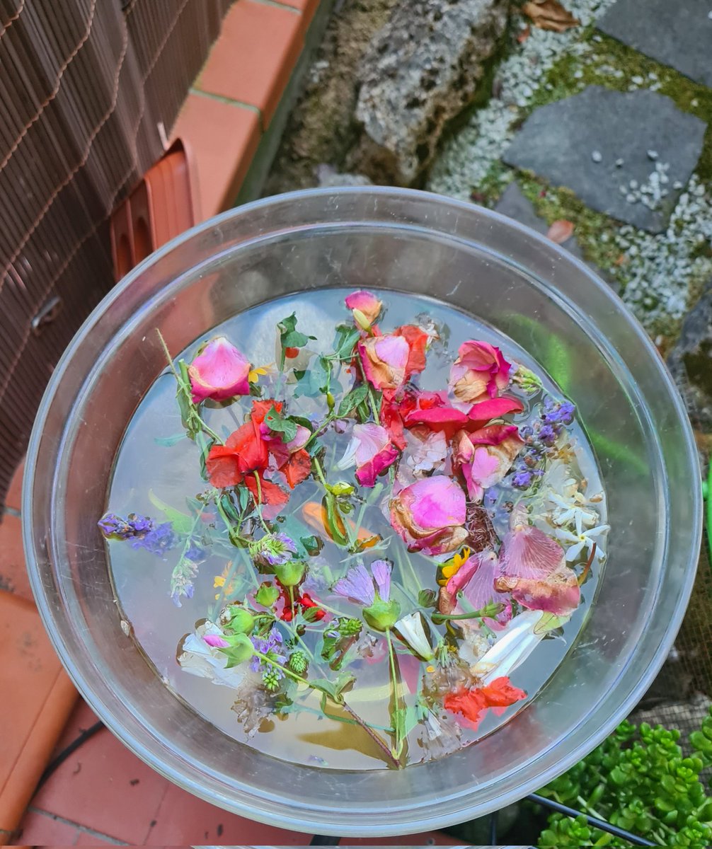 La mia acqua di San Giovanni...avrei dovuto riempire un catino ed immergermirci dentro 😂😂😂!!! L'importante è crederci😊.
Buongiorno anime belle che popolate il mio telefono,felice martedì ☕️😘
#credenzepopolari