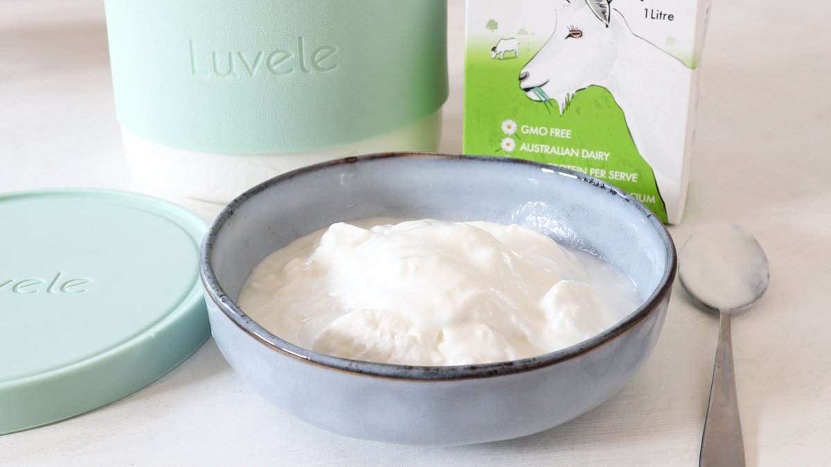 L. Reuteri yogurt is a superstar in the world of homemade gut health. If you’re exploring alternatives to cow’s milk, goat milk is a fantastic option - it’s highly nutritious and easier to digest, especially for anyone with lactose sensitivities. luvele.com.au/blogs/recipe-b…