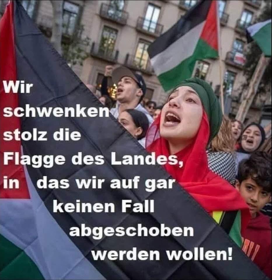 Finde den Fehler! 😡