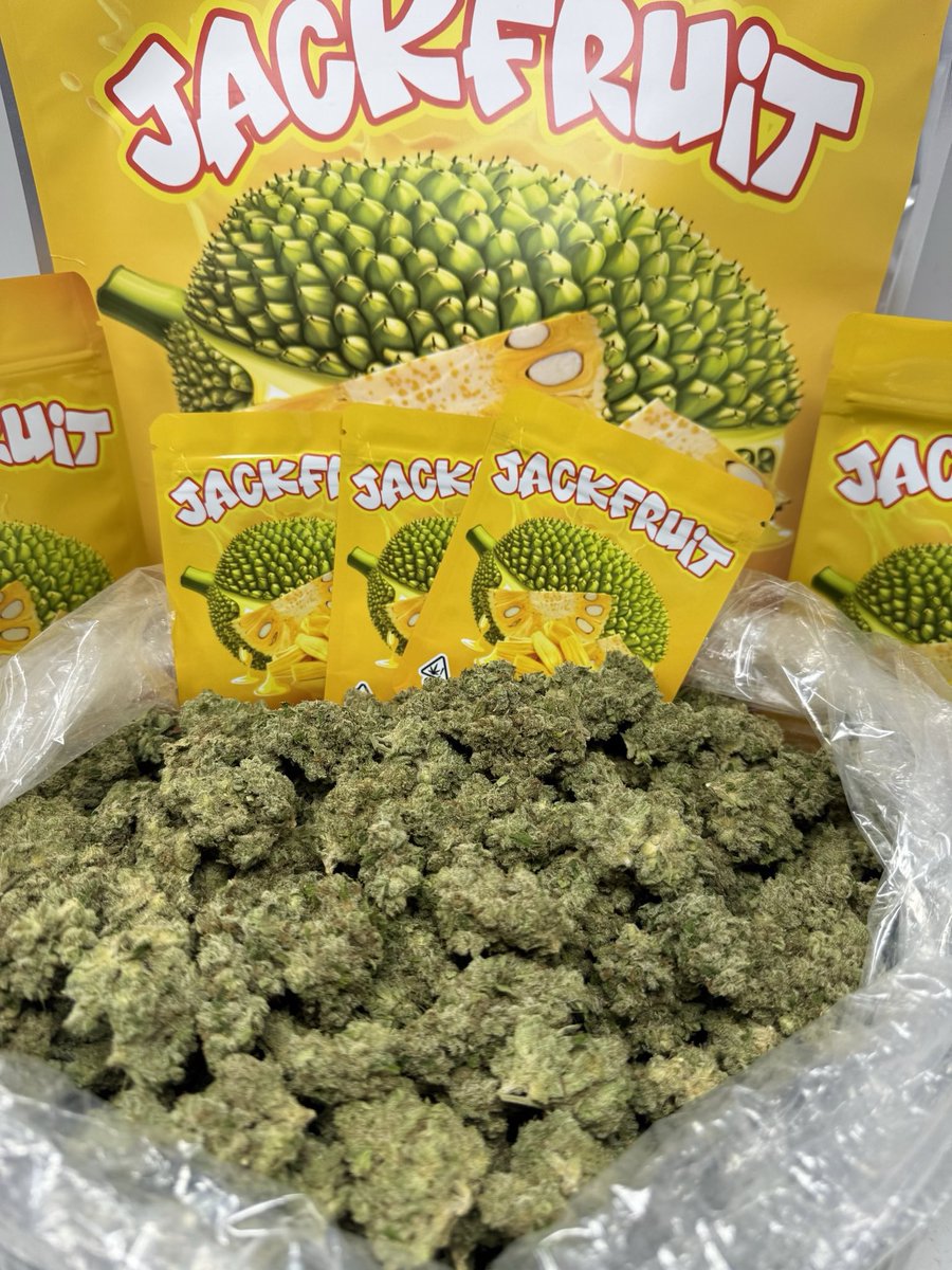 HighAssThinking's tweet photo. FREE Giveaway! 🔥🔥

I’ve teamed up with @BuddhaBros420 for this giveaway. He lost his old account at 18k smh so we’re choosing 3 winners and each will get a in house of exotics half ounce and Buddha bites edible each!

To enter:
Like & repost this tweet
Follow me and @BuddhaBros420 
Tag couple people!
