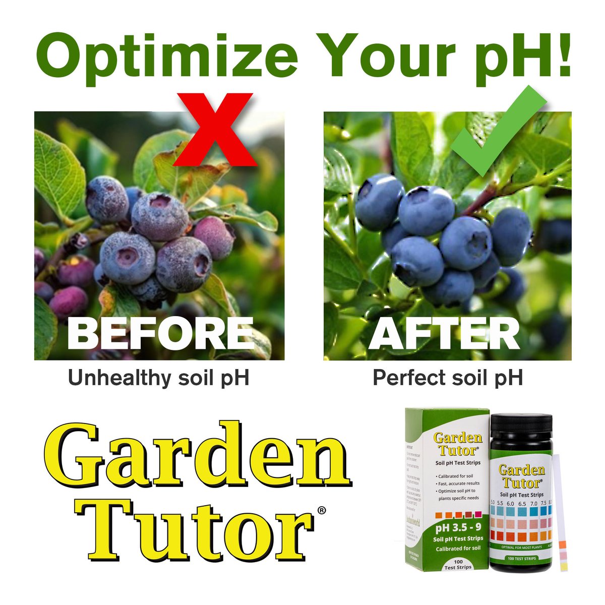 gardentutor's tweet photo. Off pH = lost growth. A misaligned pH can choke your soil even if you fertilize. Test before you treat.
#gardentutor https://t.co/ifxKJqMzIl