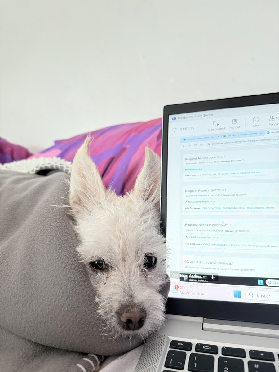 andymlndzz's tweet photo. coco no se puede imaginar lo que mi corazón lo ama🥹🤍✨ https://t.co/8JAo4r8K3o
