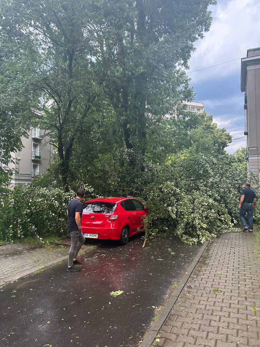 Katowice po nocnej burzy. Koszutka. Powalone drzewa.