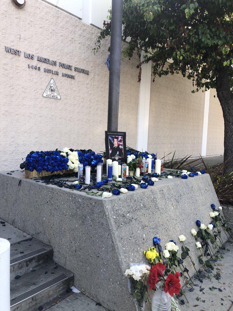 Stacey Collins tweet media