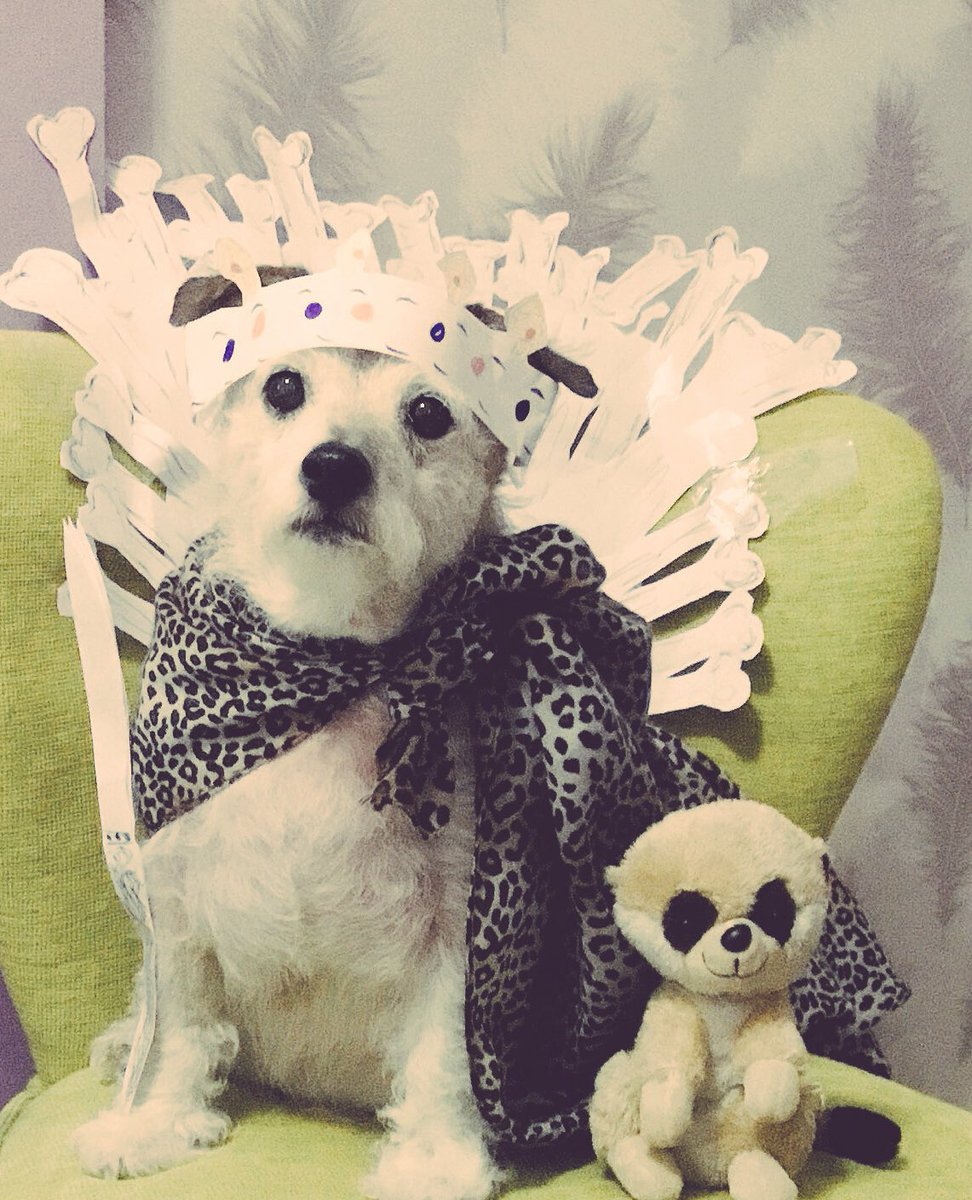 Puss Puss & Dottie ..Titch & Rupe OTRB tweet media