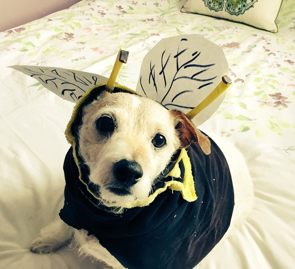 Puss Puss & Dottie ..Titch & Rupe OTRB tweet media