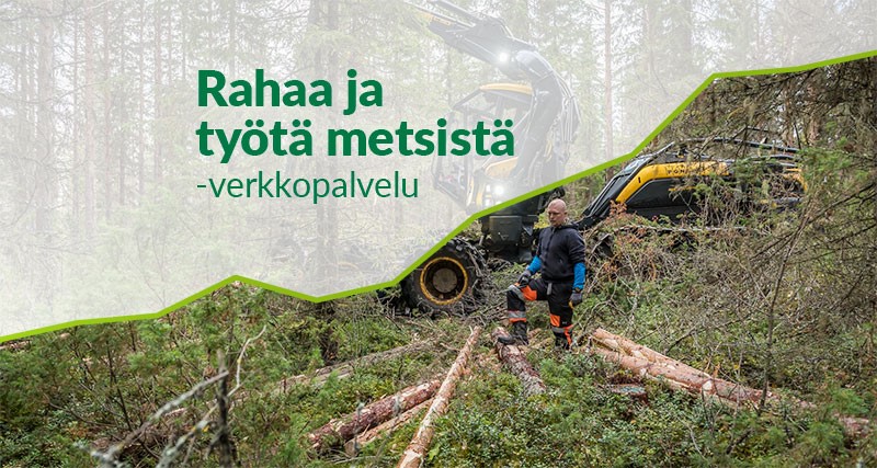 mmsaatio's tweet photo. Metsämiesten Säätiön aloitteesta ja rahoituksella on toteutettu uusi verkkopalvelu metsien talouskäytön merkityksestä Suomessa: Rahaa ja työtä metsistä. Palvelun avulla voi helposti osoittaa ja kertoa, miten metsä vaikuttaa työllisyyteen, tuotantoon, palkkoihin ja verotuloihin seutukunnan, maakunnan ja valtakunnan tasolla. Tässä ajassa moni taho on aiheellisesti kiinnostunut siitä, miten taloudellista toimintaa saadaan Suomessa kasvatettua. Katso video:
 https://t.co/bSmN0gFrOb
