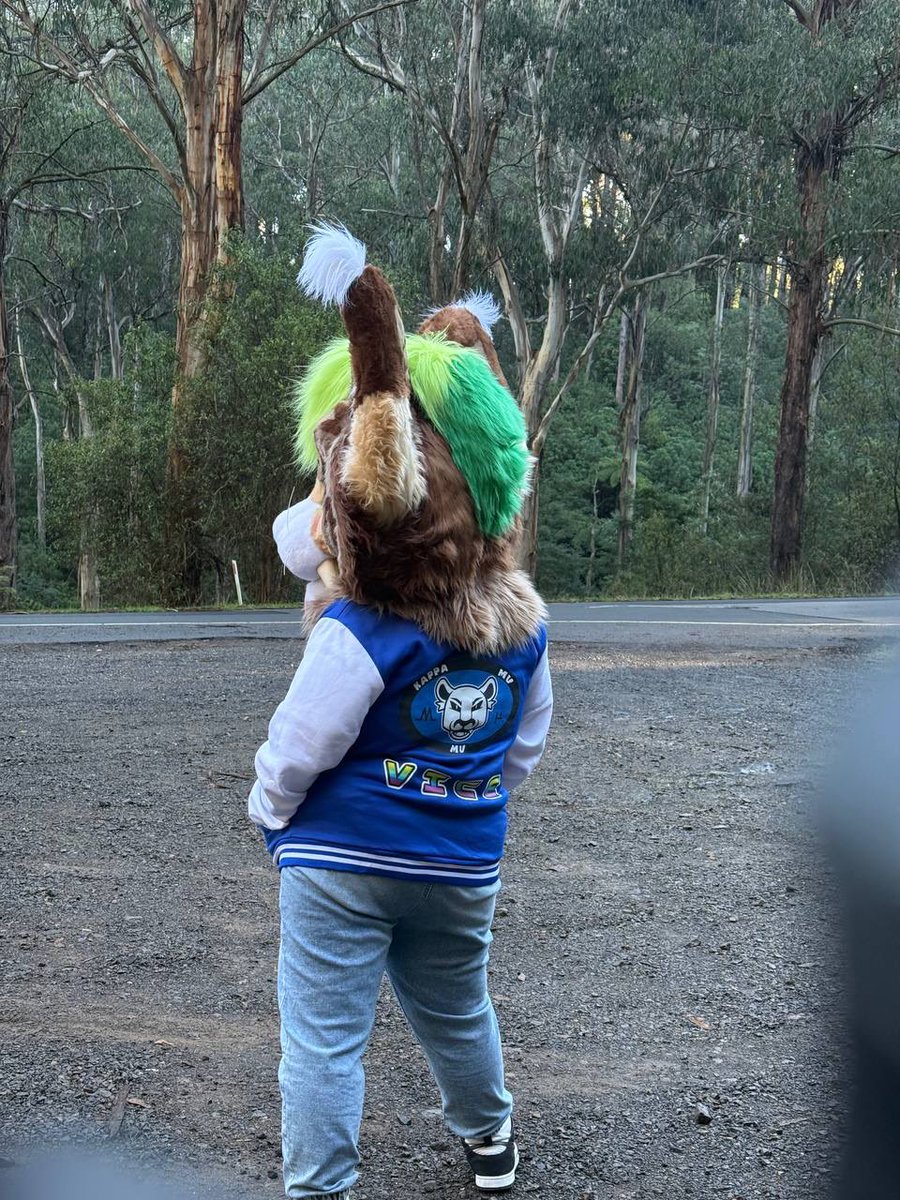 Kima_Saber's tweet photo. Finally this Susky got let out loose into the wild! She’s a trained predator, 

and camouflaged between the trees🌴 🌳 🌲 

Be careful which corner you turn to! or she might get yea! Rawr! >:3 #FursuitEveryday #fursuiter #Susky https://t.co/OB463zuKwG