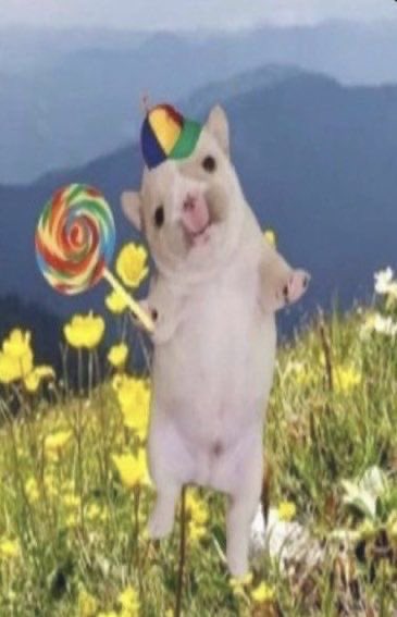 이 연성 때문에 부계 로그인 함