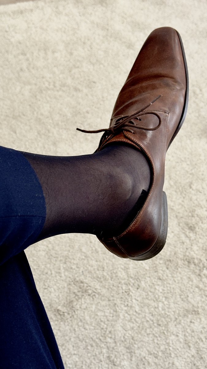 SockratesIV tweet media